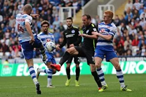 Images Dated 20th August 2016: Exciting Championship Showdown: Brighton and Hove Albion vs. Reading at Madejski Stadium
