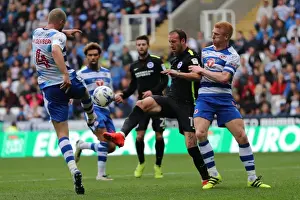 Exciting Championship Showdown: Brighton and Hove Albion vs. Reading at Madejski Stadium (2016-08-20)