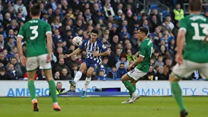 FA Cup Third Round: Brighton & Hove Albion vs. Sheffield Wednesday at American Express Community Stadium (04.01.20)