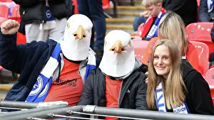 FA Cup Semi-Final Showdown: Brighton and Hove Albion vs Manchester United at Wembley Stadium (23APR23)