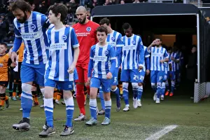 FA Cup Showdown: Hull City vs. Brighton & Hove Albion (09.01.2016)