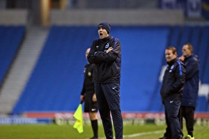 FA Womens Premier League: Brighton & Hove Albion Women vs Charlton Athletic Ladies Clash at American Express Community Stadium (December 2015)