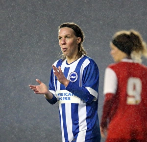 FA Womens Premier League: Brighton & Hove Albion Women vs Charlton Athletic Ladies Clash at American Express Community Stadium (December 2015)