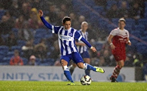 FA Womens Premier League: Brighton & Hove Albion Women vs Charlton Athletic Ladies Clash at American Express Community Stadium (December 2015)
