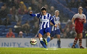 FA Women's Premier League: Brighton & Hove Albion Women vs Charlton Athletic Ladies Clash at American Express Community Stadium (December 2015)