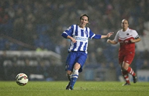 FA Womens Premier League: Brighton & Hove Albion Women vs Charlton Athletic Ladies Clash at American Express Community Stadium (December 2015)