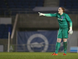 FA Women's Premier League: Brighton & Hove Albion vs Charlton Athletic Clash at American Express Community Stadium (December 2015)