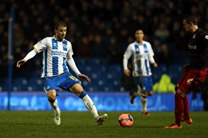 A Fight at the Amex: Brighton & Hove Albion vs. Reading (FA Cup), 2013-14 Season