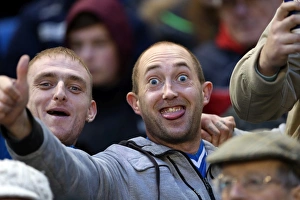 Reading (FAC) - 04-01-2014 Prints: A Fight at the Amex: Brighton & Hove Albion vs. Reading (FA Cup), 2013-14 Season
