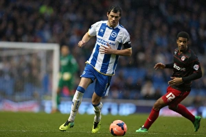 Reading (FAC) - 04-01-2014 Prints: A Fight at the Amex: Brighton & Hove Albion vs. Reading (F.A. Cup), 2013-14 Season