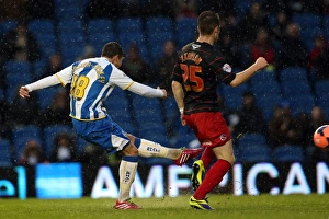 Reading (FAC) - 04-01-2014 Prints: A Fight at the Amex: Brighton & Hove Albion vs. Reading (F.A. Cup), 2013-14 Season