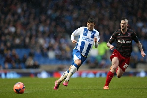Reading (FAC) - 04-01-2014 Prints: A Fight at the Amex: Brighton & Hove Albion vs. Reading (F.A. Cup), 2013-14 Season