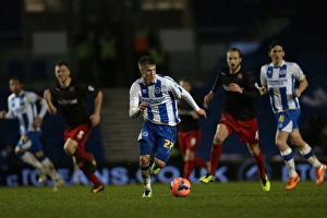 A Fight at the Amex: Brighton & Hove Albion vs. Reading (FA Cup), 2013-14 Season