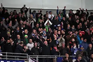 A Fight at Cardiff City Stadium: Brighton & Hove Albion vs. Cardiff City (2013)
