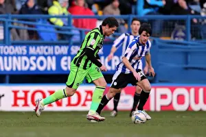 Sheffield Wednesday - 02-02-2013 Prints: Fight for Victory: Brighton & Hove Albion vs Sheffield Wednesday (Away, 02-02-2013)