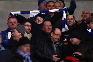Images Dated 19th February 2013: Flashback to the Exciting 2012-13 Season: Brighton & Hove Albion vs. Cardiff City (Away)