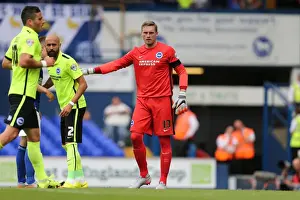 Ipswich Town 29AUG15 Prints: Focused David Stockdale: Brighton and Hove Albion Goalkeeper in Action at Ipswich Town