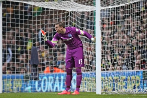 Norwich City 22NOV14 Prints: Focused David Stockdale: Norwich City vs. Brighton & Hove Albion, 2014