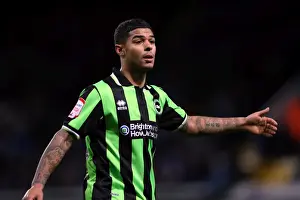 Focused and Ready: Liam Bridcutt of Brighton & Hove Albion FC