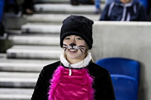 Watford - 28-10-2013 (Fright Night) Prints: Fright Night: Brighton & Hove Albion vs. Watford (28-10-2013)