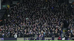 FUlham v Brighton and Hove Albion Premier League 05DEC24