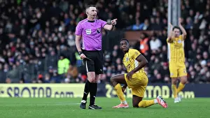 Fulham 24JAN26 Prints: Fulham v Brighton and Hove Albion
Premier League
24JAN26