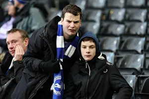 Fulham 24JAN26 Prints: Fulham v Brighton and Hove Albion
Premier League
24JAN26