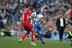 Bristol City 29APR17 Prints: Gaetan Bong in Action: Brighton & Hove Albion vs. Bristol City (29APR17)