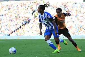 Gaetan Bong Outruns Abel Hernandez in Intense Championship Clash: Brighton & Hove Albion vs Hull City (12th September 2015)