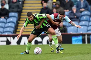 Gary Dicker in Action: Brighton & Hove Albion vs Burnley, Npower Championship 2012
