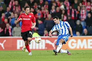 Cardiff City - 19-02-2013 Prints: Gary Dicker of Brighton & Hove Albion in Action Against Cardiff City