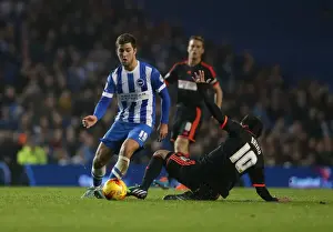 Fulham 29NOV14 Prints: Gary Gardner Faces Off Against Brighton & Hove Albion in Championship Showdown (29NOV14)