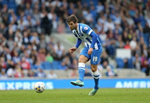 Gary Gardner Sends Through Ball in Intense Brighton vs. Middlesbrough Clash, October 2014