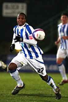 Images Dated 11th December 2009: Gavin Hoyte