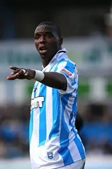 Gifton Noel Williams: Portrait of Determination in Seagulls Colors