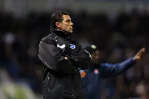 Charlton Athletic - 02-04-2013 Prints: A Glimpse into the 2012-13 Brighton & Hove Albion Home Season: Charlton Athletic (02-04-2013)