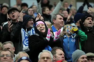 Newcastle United - 05-01-2013 Prints: A Glimpse into Brighton & Hove Albion's 2012-13 Home Season: Newcastle United (05-01-2013)