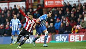 Brentford 03JAN15 Prints: Gordon Greer in Action: Brentford vs. Brighton & Hove Albion, FA Cup 3rd Round (03JAN15)