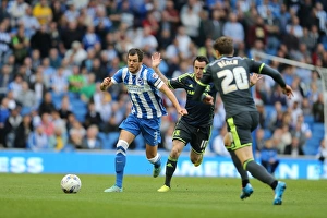 Gordon Greer in Action: Brighton and Hove Albion vs. Middlesbrough, October 18, 2014