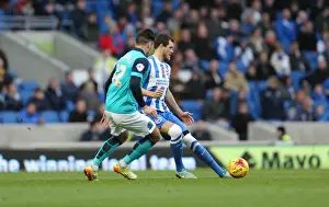 Blackburn Rovers 08NOV14 Prints: Gordon Greer Focuses in Brighton and Hove Albion vs Wigan Athletic Championship Clash (8 Nov 2014)