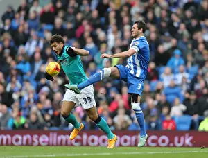 Blackburn Rovers 08NOV14 Prints: Gordon Greer: Intense Concentration during Brighton & Hove Albion's Championship Clash vs