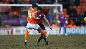 Images Dated 31st January 2015: Gordon Greer Leads Brighton and Hove Albion in Championship Clash vs. Blackpool (31Jan15)