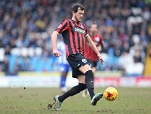 Images Dated 14th February 2015: Gordon Greer Leads Brighton and Hove Albion in Championship Battle against Sheffield Wednesday