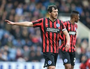 Images Dated 14th February 2015: Gordon Greer Leads Brighton and Hove Albion in Championship Clash against Sheffield Wednesday