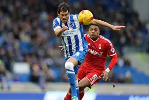 Nottingham Forest 07FEB15 Prints: Gordon Greer Leads Brighton and Hove Albion in Championship Battle Against Nottingham Forest (7th February 2015)