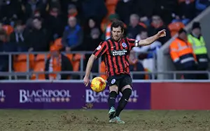 Blackpool 31JAN15 Prints: Gordon Greer Leads Brighton and Hove Albion in Championship Clash against Blackpool (31Jan15)