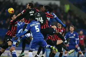 Cardiff City Prints: Gordon Greer Leads Brighton and Hove Albion in Championship Clash against Cardiff City (10FEB15)