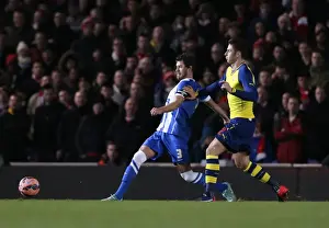 Arsenal 25JAN15 Prints: Gordon Greer Leads Brighton & Hove Albion in FA Cup Battle against Arsenal (25Jan15)