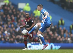 Greg Halford in Action: Brighton and Hove Albion vs. Norwich City, Sky Bet Championship, April 2015