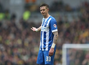 Greg Halford in Action: Brighton and Hove Albion vs. Norwich City, Sky Bet Championship, 3rd April 2015